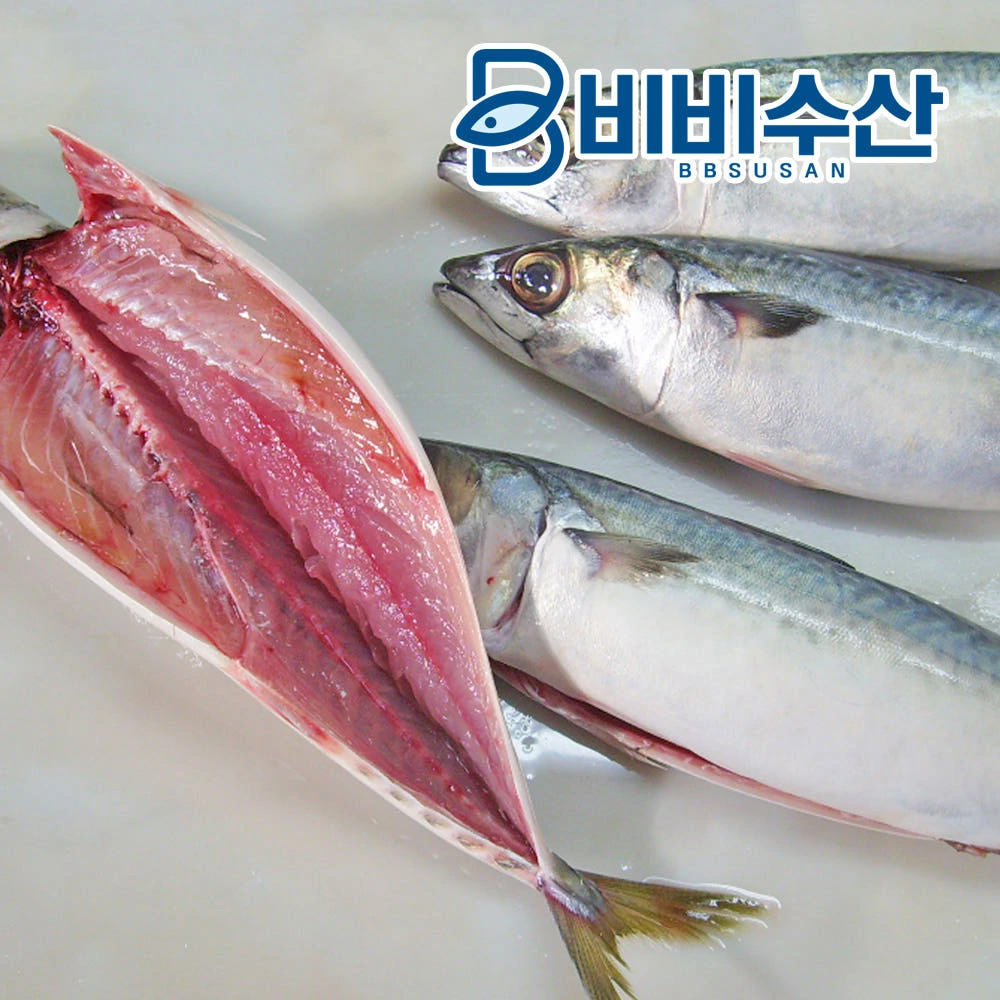 국내산 자반고등어 10마리 순살고등어 필렛 실제 상품 이미지