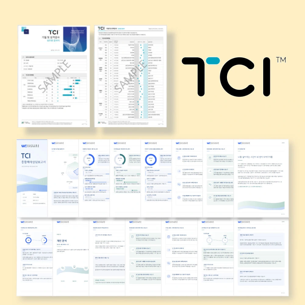 TCI 기질 및 성격검사 (24P 해석보고서 + 2P 결과지 + 해석강의 + 참고자료) 실제 상품 이미지